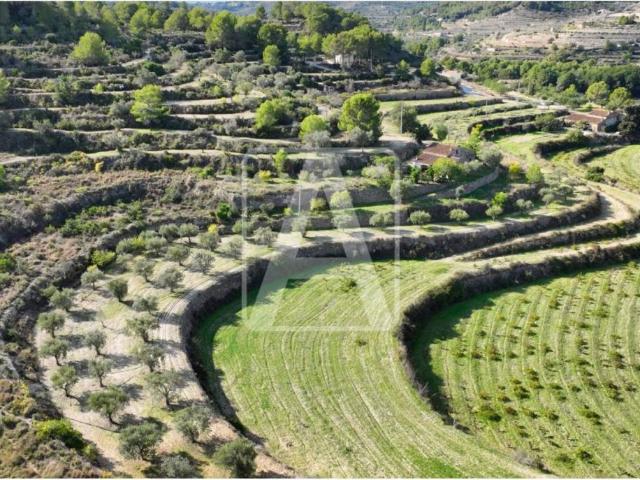 Terreno en venta en la Marina Alta, Valencia