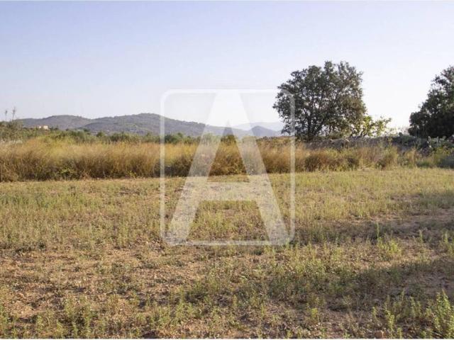 Terreno en venta en la Marina Alta, Valencia