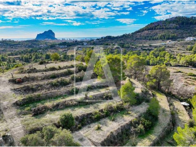 Terreno en venta en la Marina Alta, Valencia
