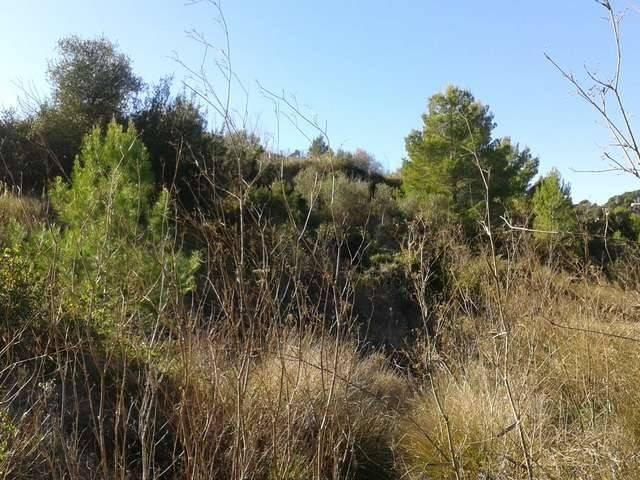 Terreno en venta en Benissa
