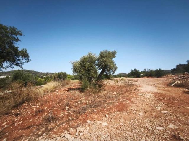 Terreno en venta en la Marina Alta, Valencia