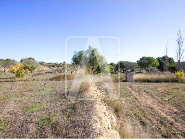 Terreno en venta en la Marina Alta, Valencia