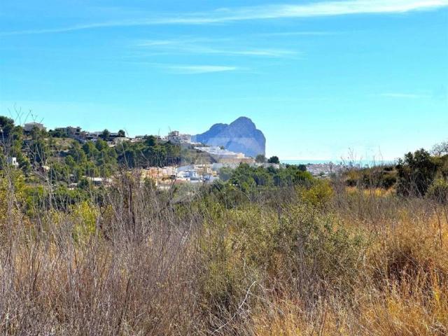 Terreno en venta en la Marina Alta, Valencia
