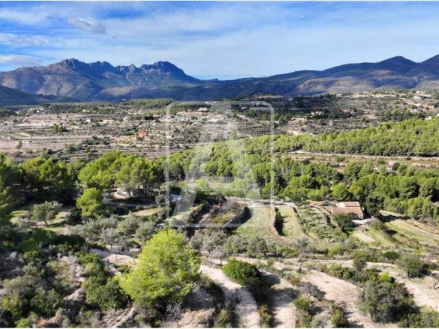 Terreno en venta en la Marina Alta, Valencia
