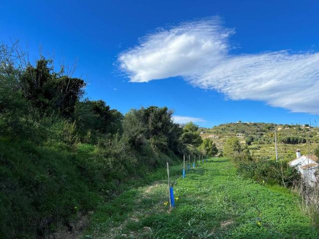 Terreno en venta en Benissa