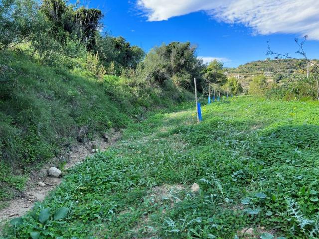 Terreno en venta en la Marina Alta, Valencia