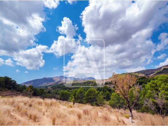 Terreno en venta en la Marina Alta, Valencia