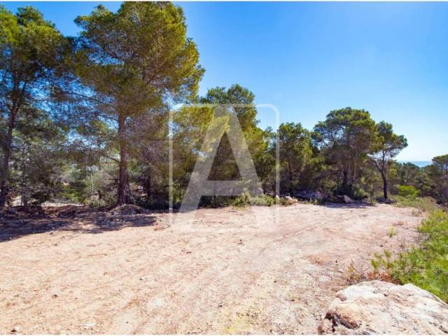 Terreno en venta en la Marina Alta, Valencia