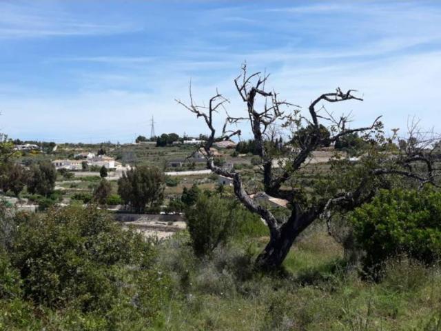 Terreno en venta en la Marina Alta, Valencia
