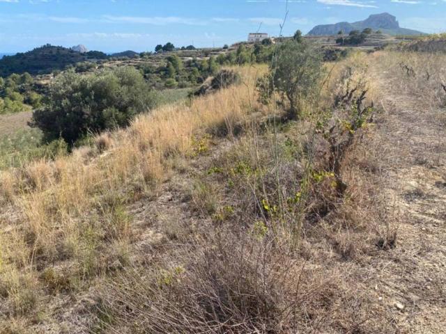 Terreno en venta en la Marina Alta, Valencia