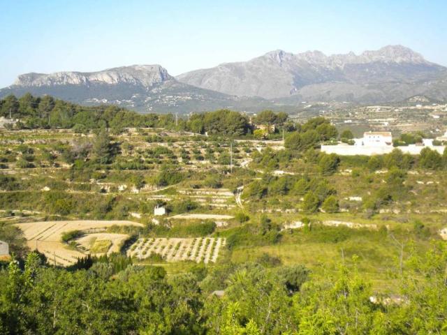 Terreno en venta en la Marina Alta, Valencia