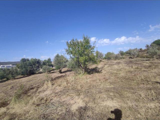 Terreno en venta en la Marina Alta, Valencia