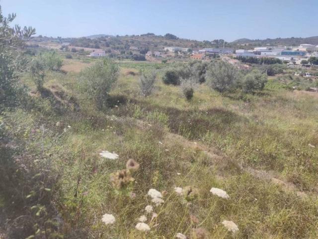 Terreno en venta en la Marina Alta, Valencia