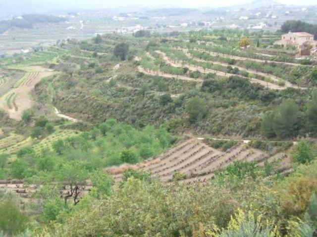 Terreno en venta en la Marina Alta, Valencia