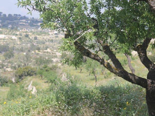 Terreno en venta en Benissa
