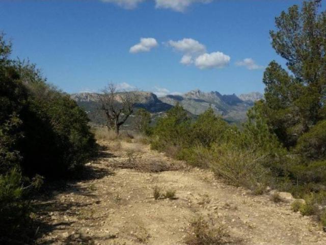 Terreno en venta en la Marina Alta, Valencia