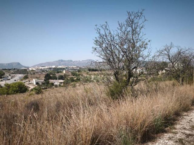 Terreno en venta en la Marina Alta, Valencia