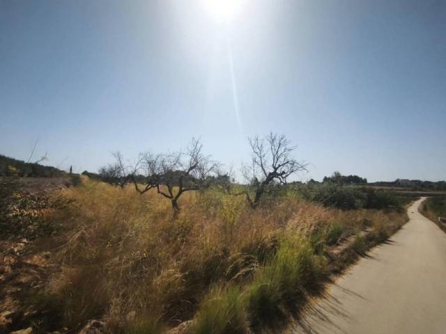 Terreno en venta en la Marina Alta, Valencia