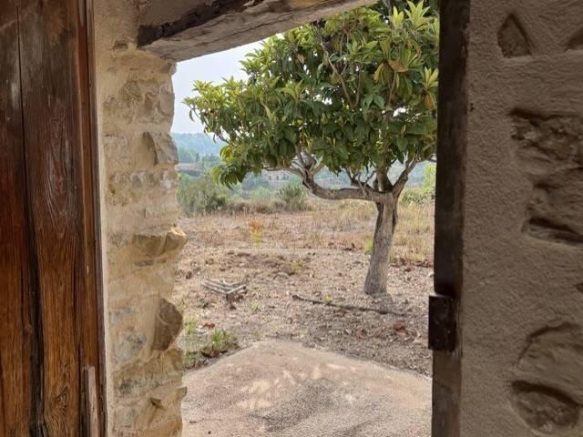 Terreno en venta en la Marina Alta, Valencia
