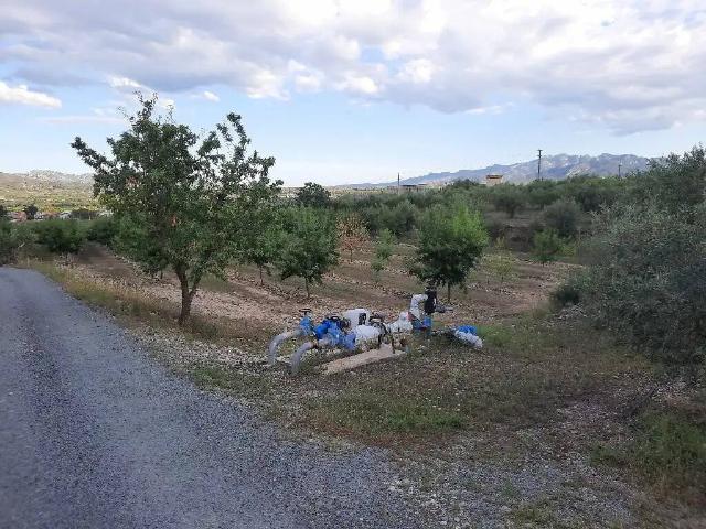 Terreno en venta en Ribera d'Ebre, Catalunya