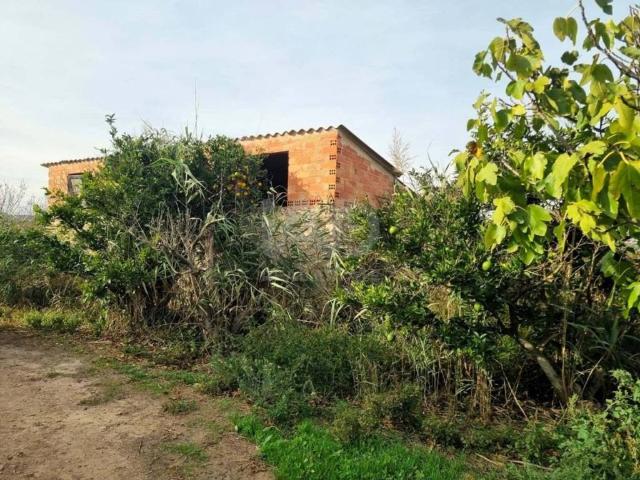 Terreno en venta en Ribera d'Ebre, Catalunya