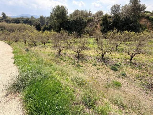 Terreno en venta en la Vall d'Albaida, Valencia