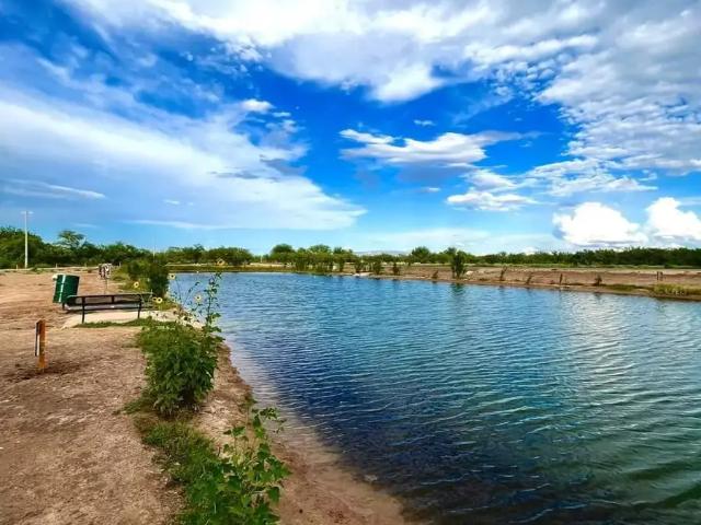 Terreno en venta en San Buenaventura, Coahuila