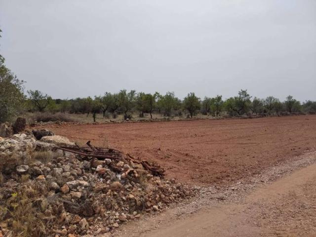 Terreno en venta en la Plana Alta, Valencia