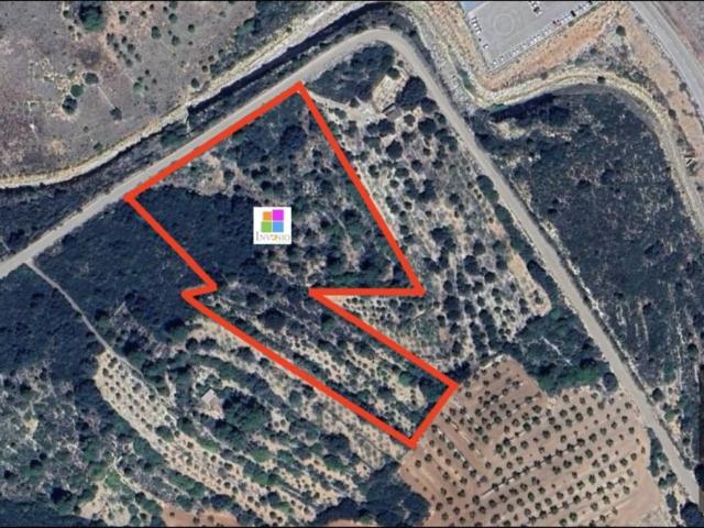 Terreno en venta en la Plana Alta, Valencia