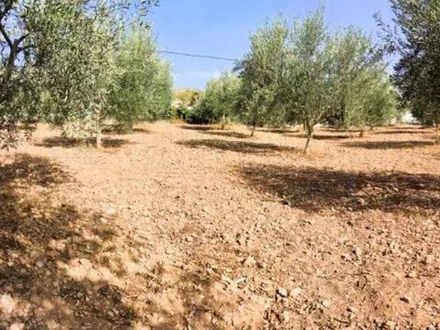 Terreno en venta en Benejí, Berja