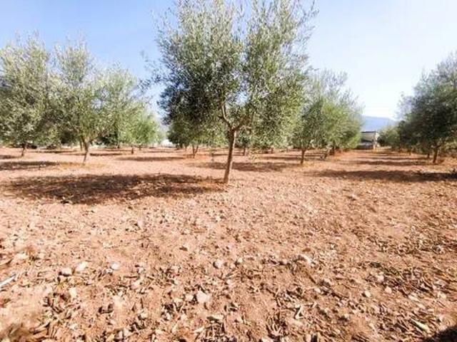 Terreno en venta en Benejí, Berja
