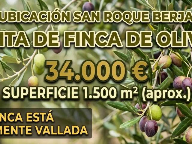 Terreno en venta en Berja, Andalucía