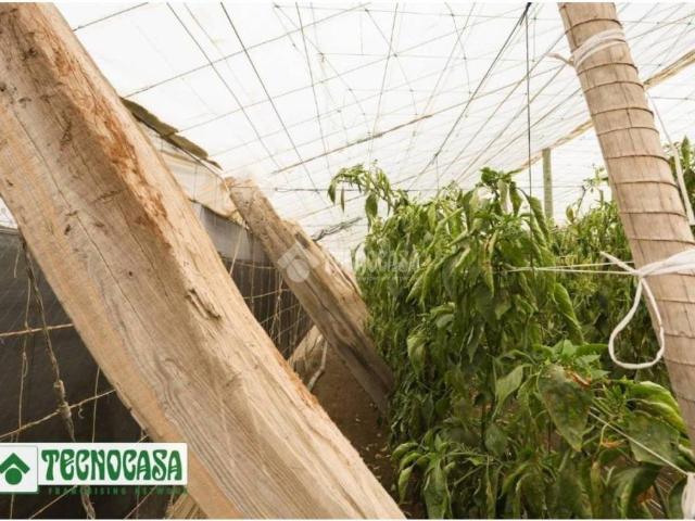 Terreno en venta en Berja, Andalucía