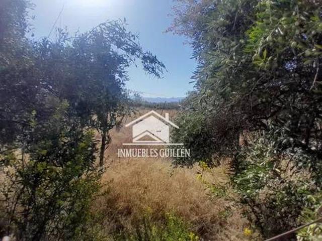 Terreno en venta en Benejí, Berja