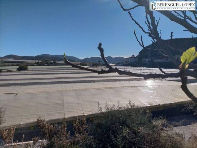 Terreno en venta en Berja, Andalucía