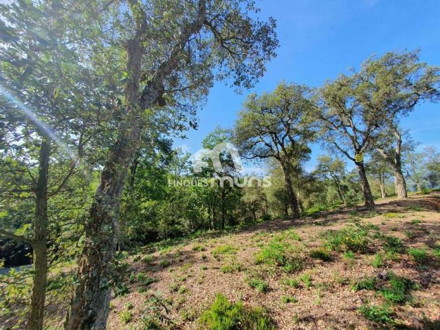 Terreno en venta en Mas Llunes, Gironès