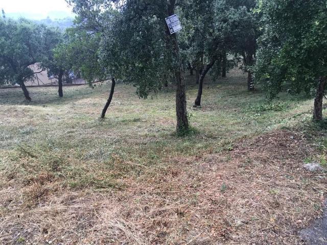Terreno en venta en Bescanó