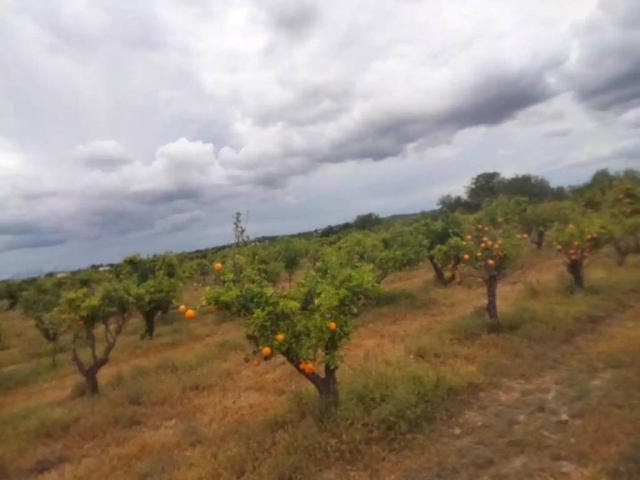Terreno en venta en el Camp de Túria, Valencia