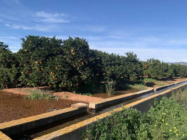Terreno en venta en el Camp de Túria, Valencia