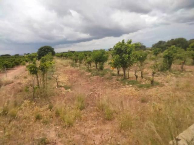 Terreno en venta en el Camp de Túria, Valencia