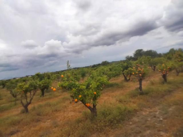 Terreno en venta en el Camp de Túria, Valencia