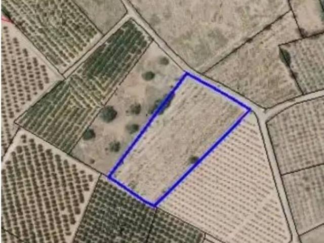 Terreno en venta en el Camp de Túria, Valencia