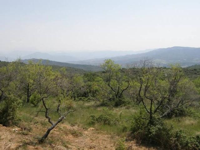 Terreno en venta en Aínsa-sobrarbe, Aragón