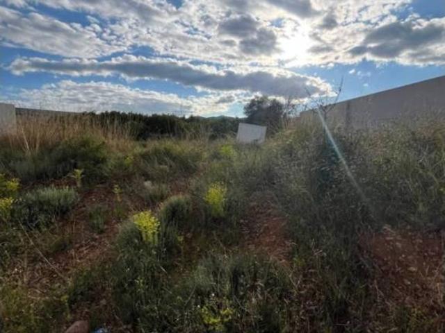 Terreno en venta en la Plana Baixa, Valencia