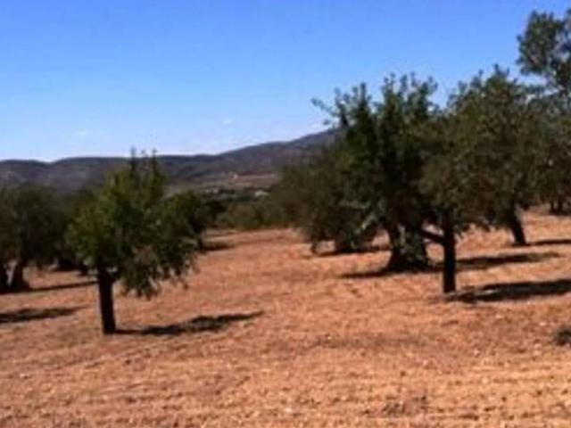 Terreno en venta en l'Alt Vinalopó / El Alto Vinalopó, Valencia