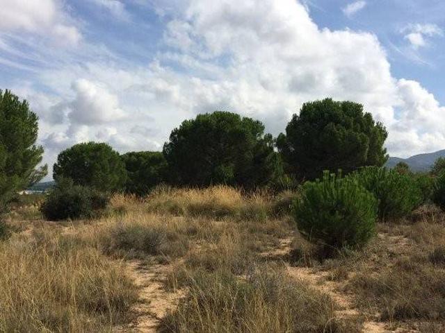 Terreno en venta en l'Alt Vinalopó / El Alto Vinalopó, Valencia
