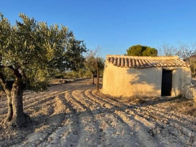 Terreno en venta en l'Alt Vinalopó / El Alto Vinalopó, Valencia