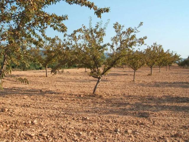 Terreno en venta en l'Alt Vinalopó / El Alto Vinalopó, Valencia