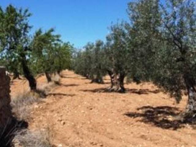 Terreno en venta en l'Alt Vinalopó / El Alto Vinalopó, Valencia