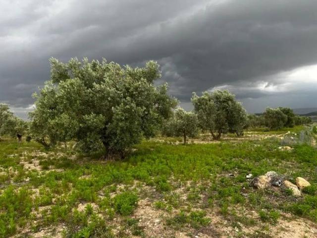 Terreno en venta en l'Alt Vinalopó / El Alto Vinalopó, Valencia